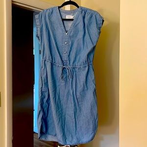 Time and Tru Jean material dress